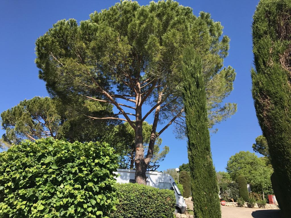 Camping La Paoute Grasse Exterior foto